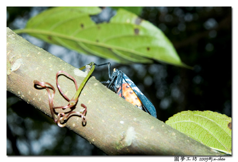 DSC_1359.jpg