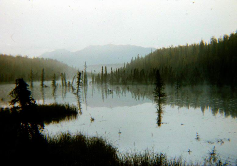 45 year old slide, Alaska dawn, copied with D7