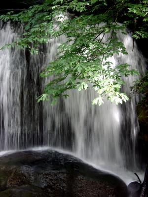 Whatcom Falls