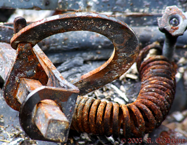 Charred Remains  - April 22, 2005