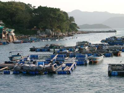 New Fisherman's Village