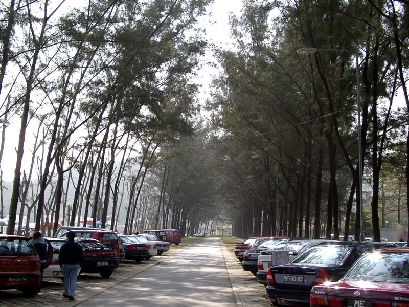 Baia de Hac-Sa<br />黑沙海灘
