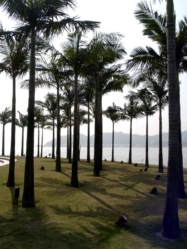 The Westin Resort<br />威斯登酒店