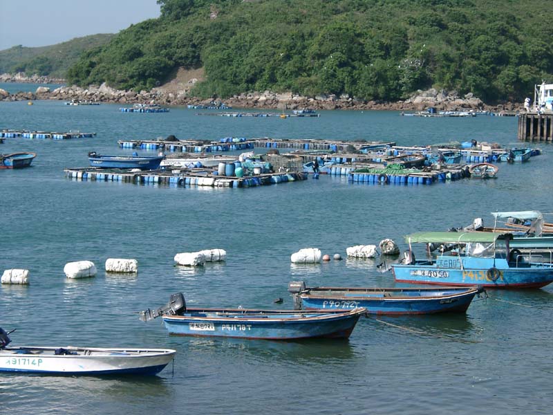 New Fishermans Village