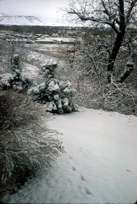 2.24.22.jpg