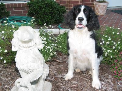Milton's new friend