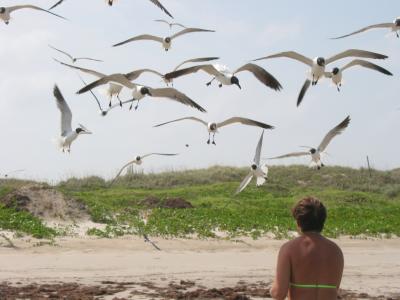 Photos taken during Mallory and Paul's trip to Port Aransas Texas