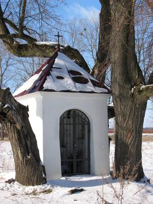 Szczutkow