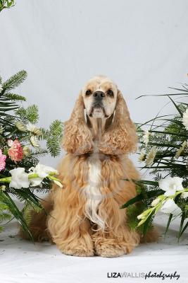 IMG_3470.jpg