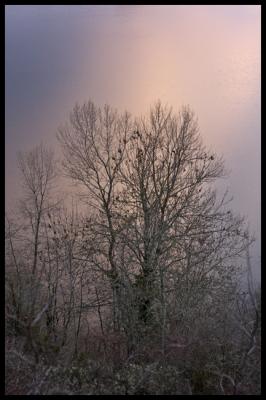 WM-AUVE- 2004 -1225 - 0062 - Auvergne.jpg