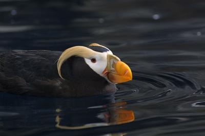 in water