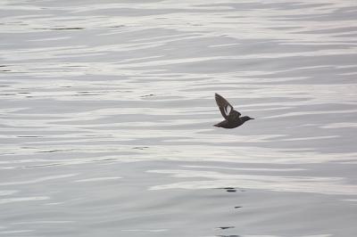 CRW_6410.jpg