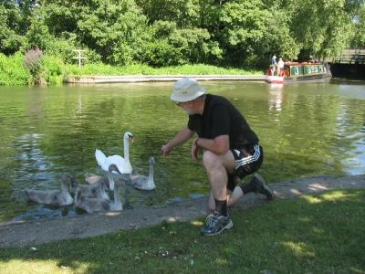 Feeding the swans II