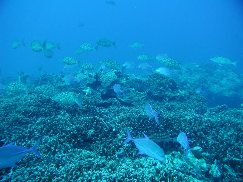 P2160005.JPG