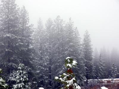 Big Storm (Jan 1st)