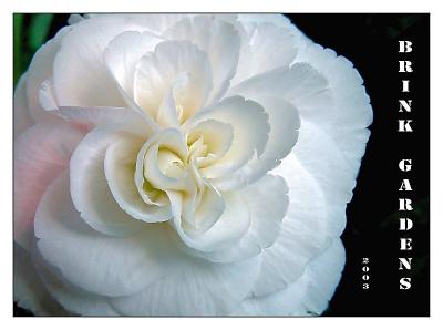Brink Gardensby Bev Brink