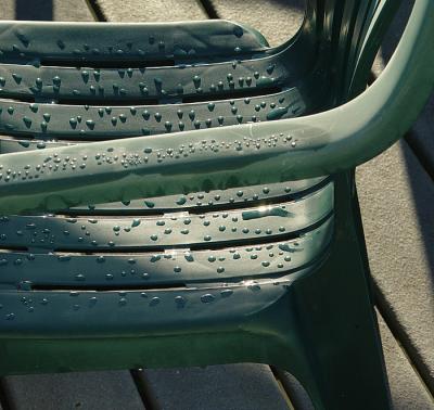 Dew Drops*by Ann Chaikin
