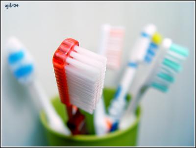 dental display*