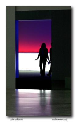 Neon SilhouetteFremiet