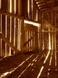 <b>WINNER </b> 1st PLACE</b><BR>Morning Glow by CindyD
