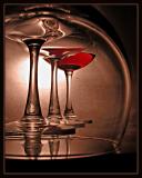 8th Place<br>Cheers in 2005