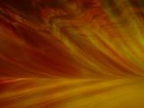 Frozen Fire by W.C.