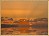 <b>The Setting Egg</b>