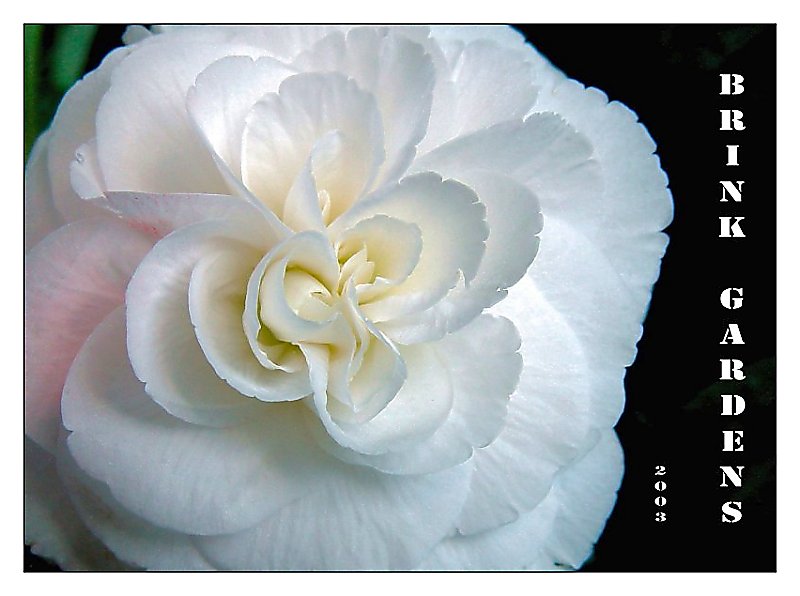Brink Gardens<br><font size=1>by Bev Brink</font>
