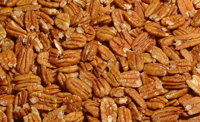 I am PLAIN NUTS by Natalia