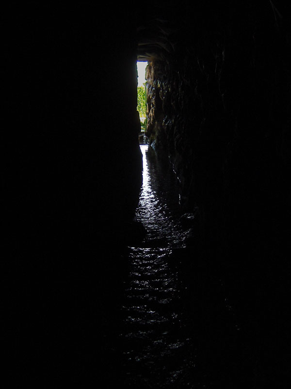 <B>This Way Out!</B><br> <font size=1>by Nir Alon
