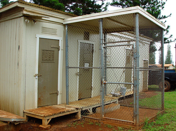 <b>Lanai City Jail</b><br>kudbegud