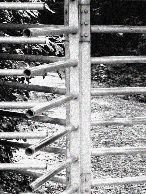<p align=right><b>Natures Turnstile</b><br><i><font size=1> photographed by </font >Shutter