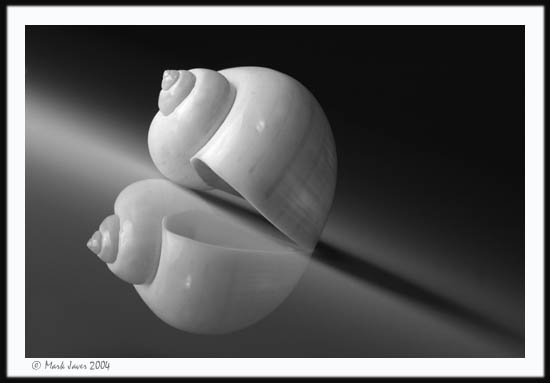 5th Place (tied)<br>Reflection<br>by Markjay