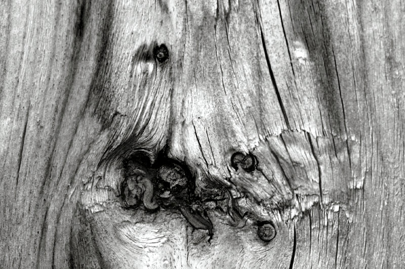 <B>Knots Landing</B><BR><Font size=1>by David Cappello</font>