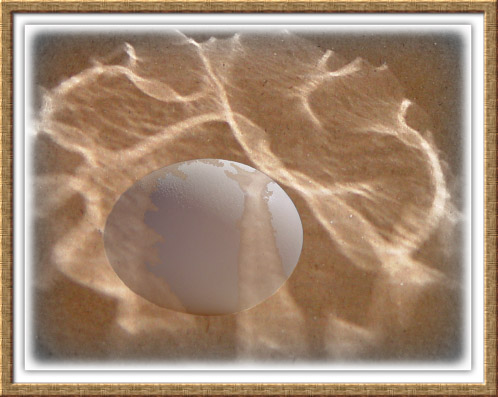 <b>Ethereal Nest</b>