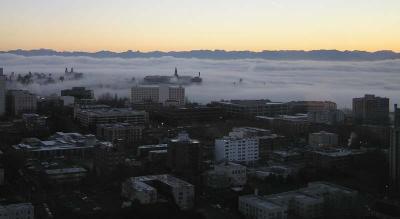 fog_12_28_04.jpg
