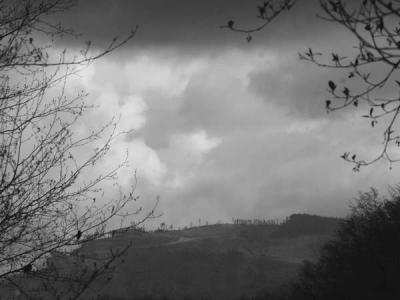3-30 weather 4884.jpg