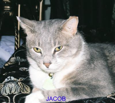 jacob 001.jpg