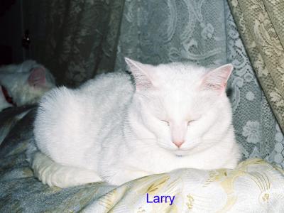 larry 001.jpg