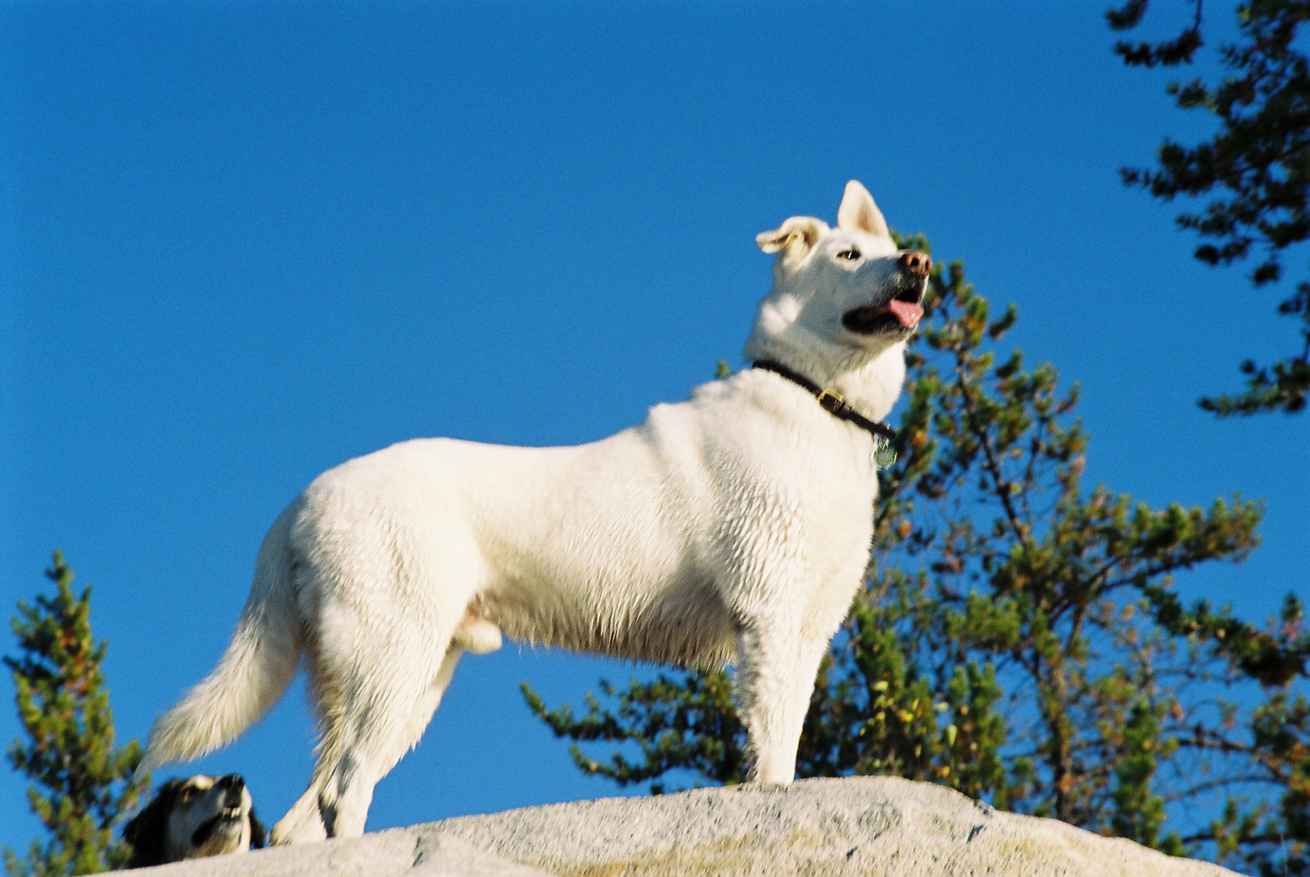 F1000017.JPG