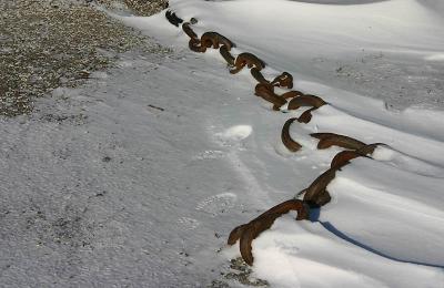 Snow links