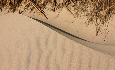 Sand drifts