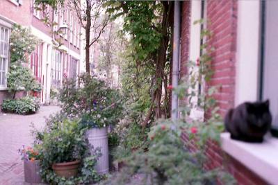 022.jpg