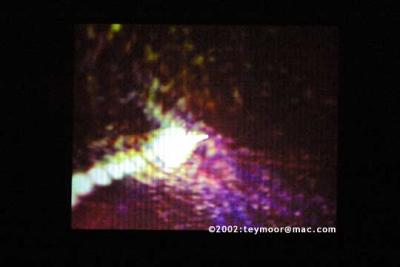 CRW_7886_RT8.jpg