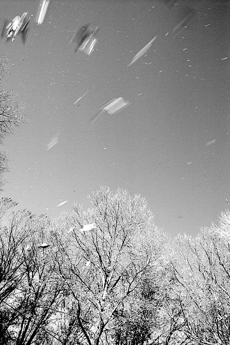 010305xp2_crop0002 copy.jpg