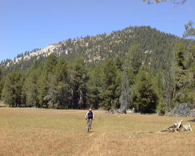 Cannell Meadow