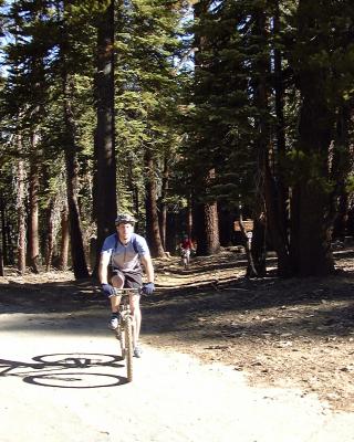 Nearing Mosquito Meadow