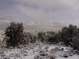 Snow at Harkless Flat, Inyo Mountains