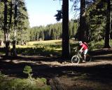 Gus Passing Mosquito Meadow