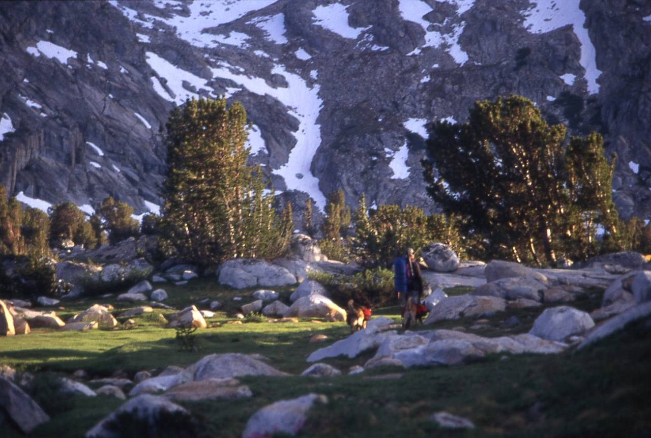 Backpacking in Humphreys Basin